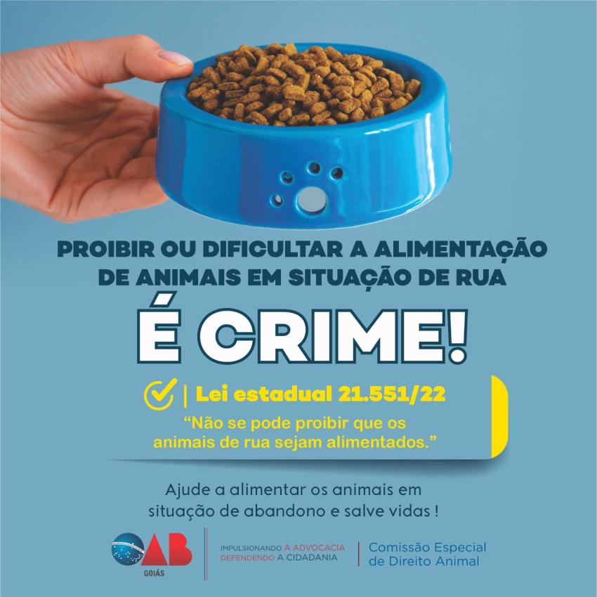 Comissão de direito animal lança campanha em prol da alimentação de animais de rua em Goiás