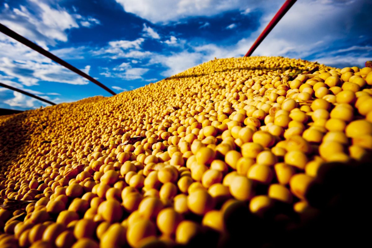 Mercado de soja é sacudido por incertezas econômicas