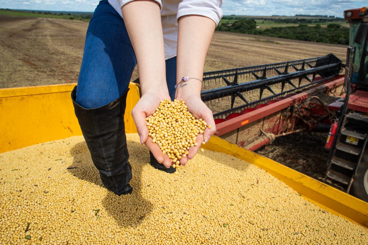 Queda na safra de grãos de Goiás deve ter influência do El Niño