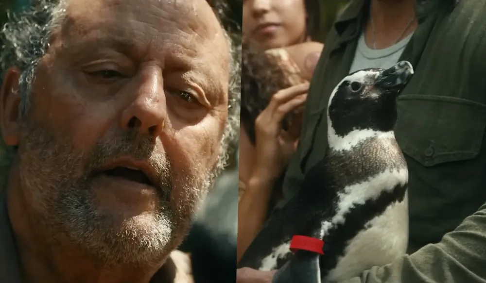 Baseado em uma história real brasileira, drama “Meu Amigo Pinguim” ganha trailer e cartaz