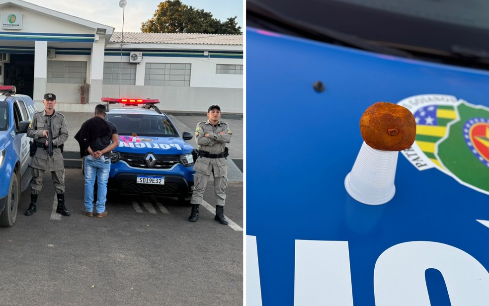 Funcionário de frigorífico é preso após furtar pedra de fel avaliada em R$ 130 mil