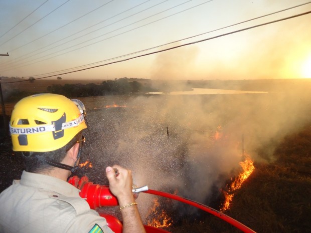 Goiás registra surto de queimadas: Bombeiros intensificam combate e alertam para crimes ambientais